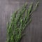 12 Pack: Green Trailing Grass Spray by Ashland®
